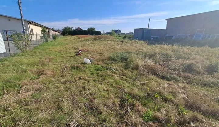 Działka inwestycyjna Dobrzyń nad Wisłą, ul. Stodólna