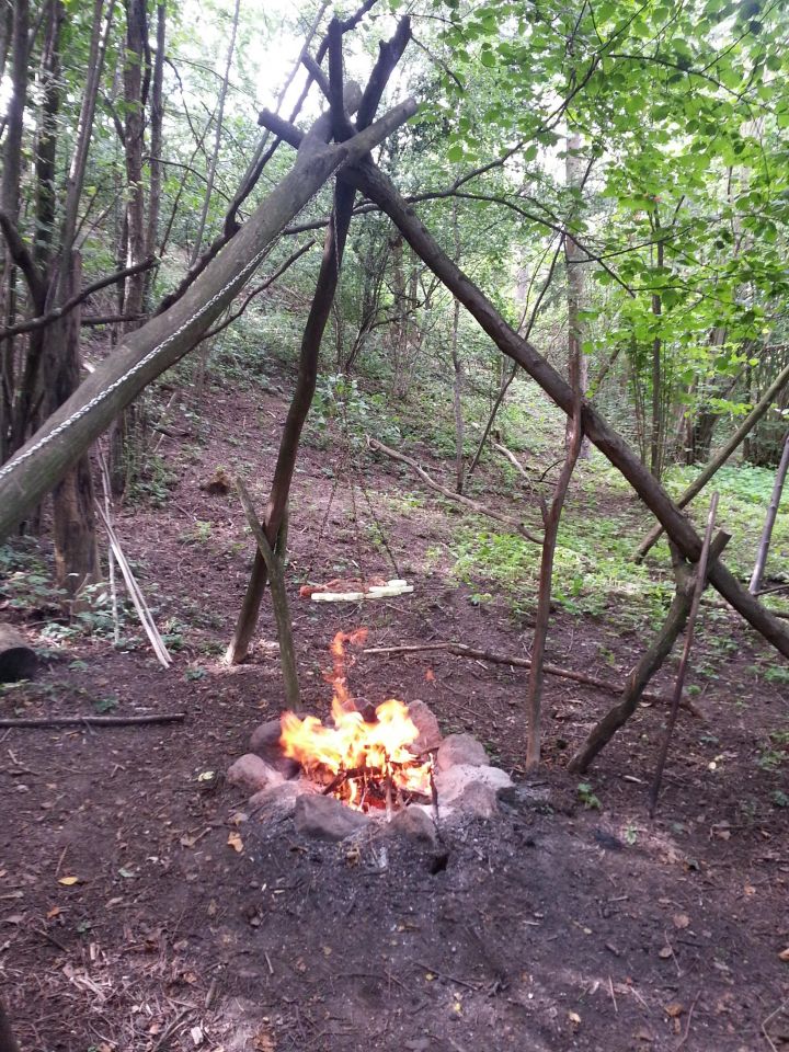 Działka rolna Knieja. Zdjęcie 7