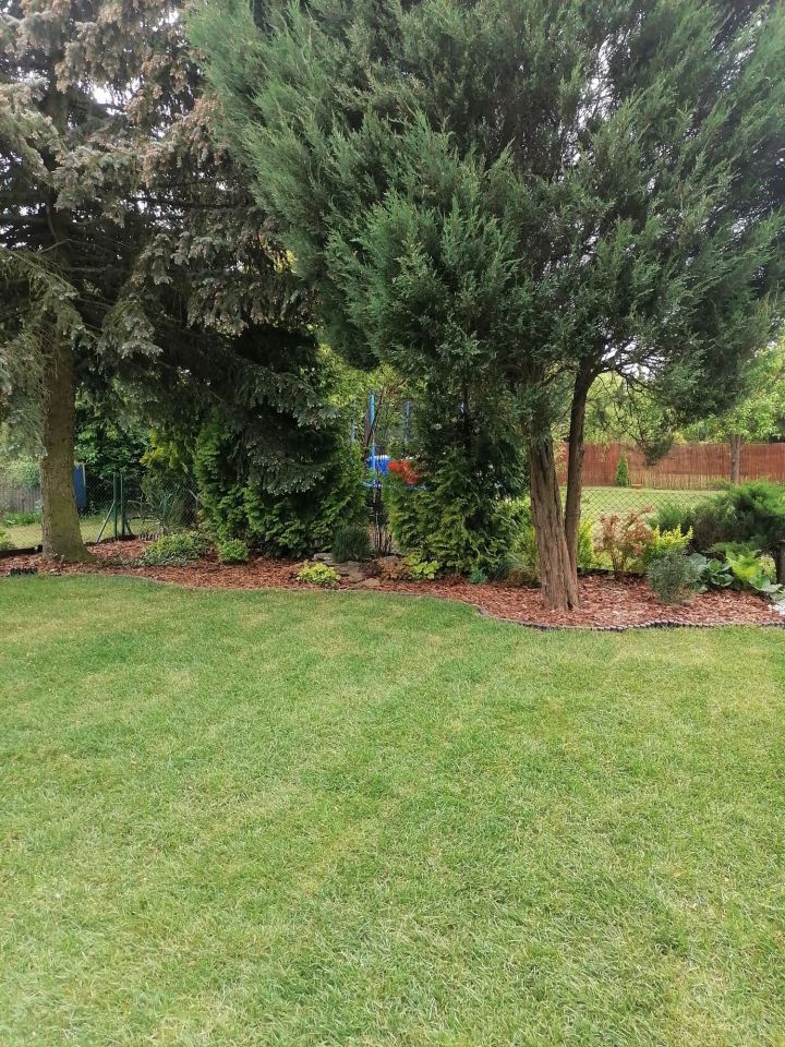 Działka rod Łęczyca. Zdjęcie 3