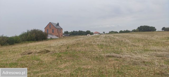 Działka rolna Nowa Wieś Malborska, ul. Sienna. Zdjęcie 1