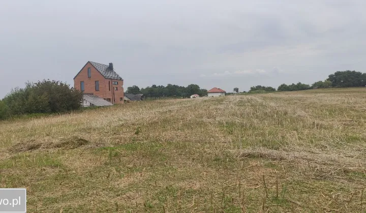 Działka rolna Nowa Wieś Malborska, ul. Sienna