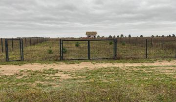 Działka budowlana Sepno