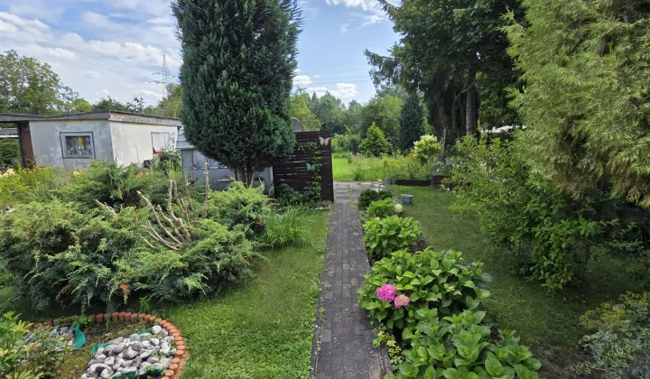 Działka rod Gdańsk Olszynka