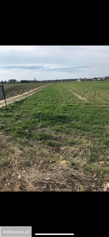 Działka budowlana Warta Bolesławiecka. Zdjęcie 2