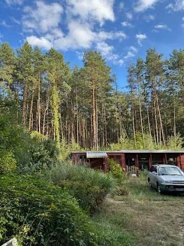 Działka siedliskowa Kuklówka Zarzeczna. Zdjęcie 3