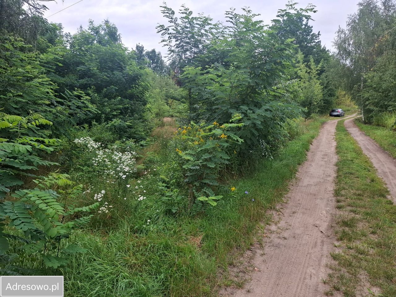 Działka budowlana Glinianka. Zdjęcie 6