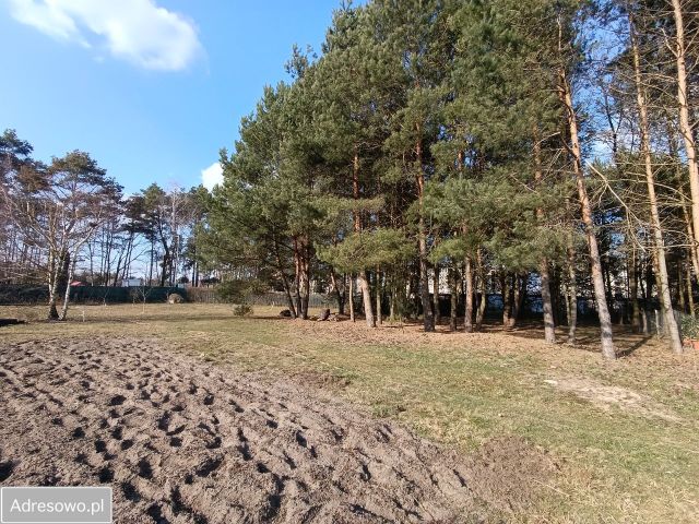 Działka budowlana Gronów. Zdjęcie 1