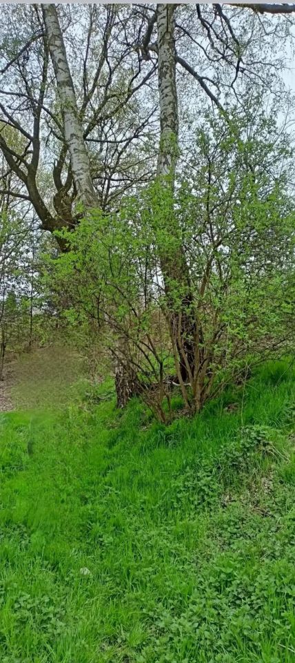 Działka rolno-budowlana Radlin Głożyny, ul. Wrzosowa. Zdjęcie 8
