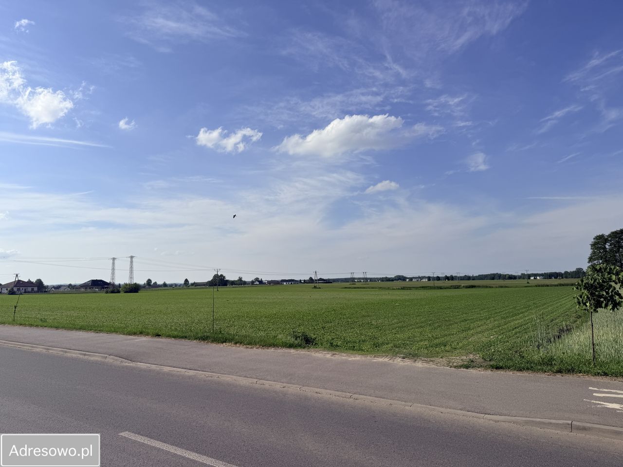 Działka budowlana Osiny. Zdjęcie 13