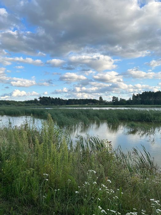 Działka budowlana Lubsin. Zdjęcie 6