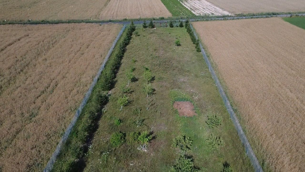 dom wolnostojący Deszkowice-Kolonia. Zdjęcie 5