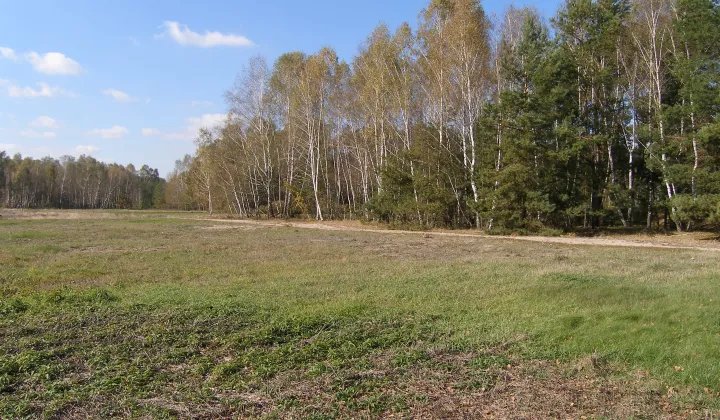 Działka budowlana Boryszew