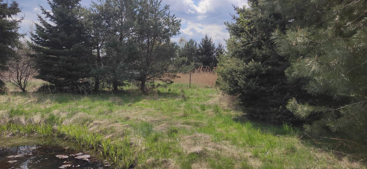 Działka inwestycyjna Skarżysko-Kamienna Skarżysko Książęce, ul. Kopernika. Zdjęcie 4