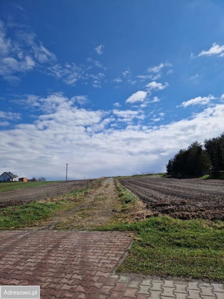 Działka budowlana Sośnicowice, ul. Raciborska. Zdjęcie 3