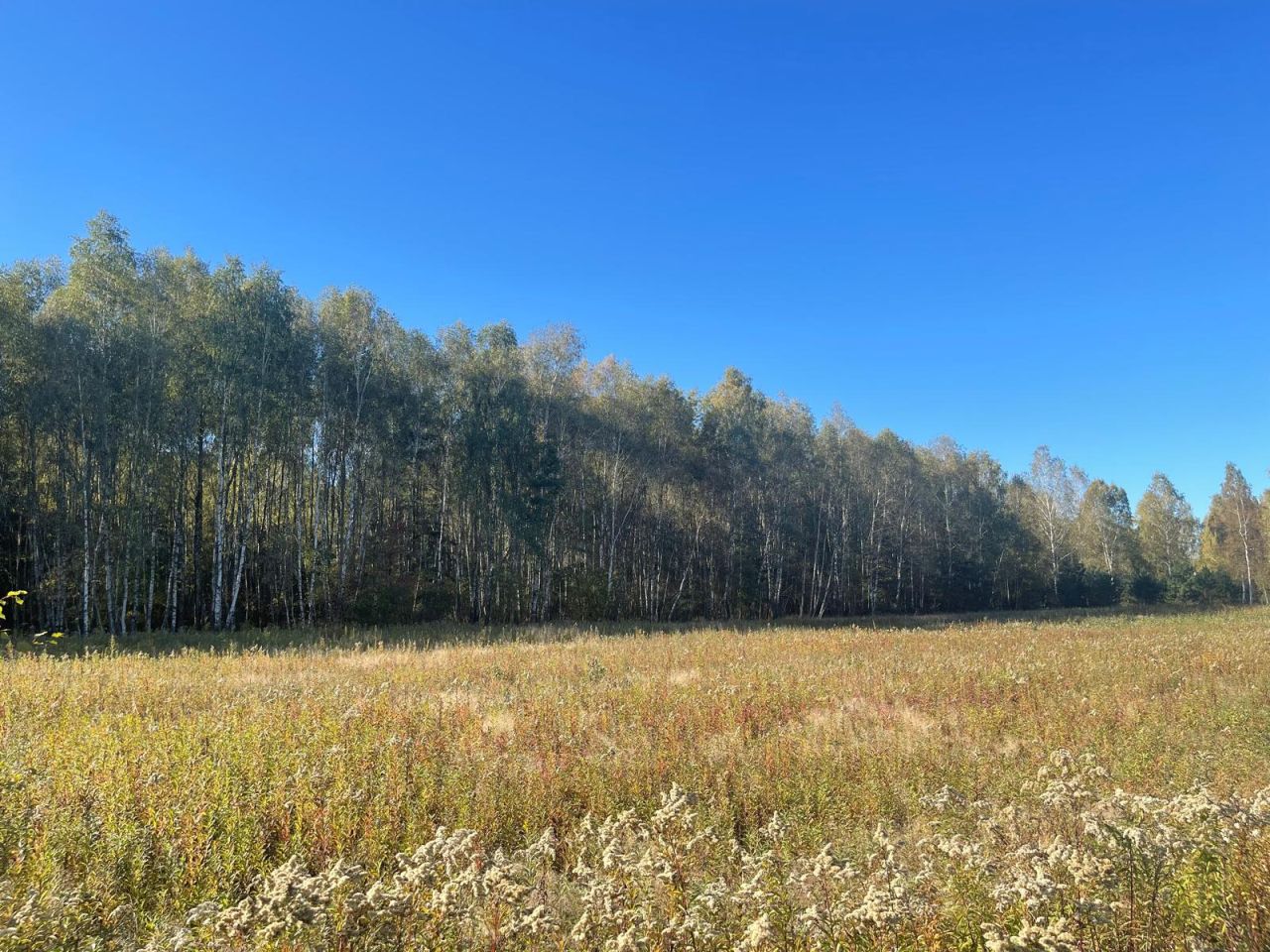 Działka budowlana Żabieniec. Zdjęcie 12