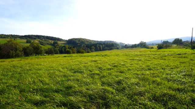 Działka rolna Szymbark. Zdjęcie 1