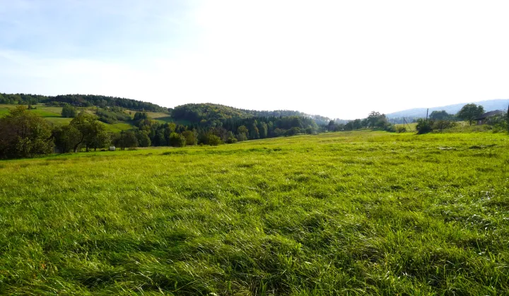 Działka rolna Szymbark