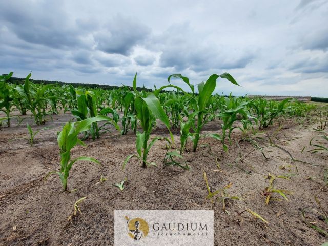 Działka Karszyn. Zdjęcie 20