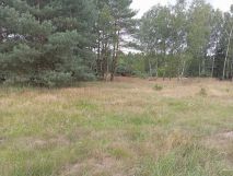 Działka budowlana Rogóźno. Zdjęcie 2