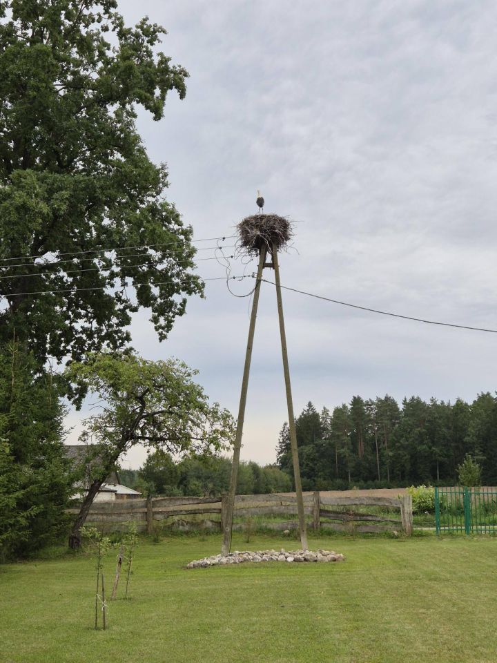 Działka siedliskowa Studzieńczyna. Zdjęcie 6