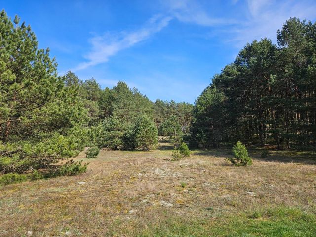 Działka rolna Swornegacie. Zdjęcie 1