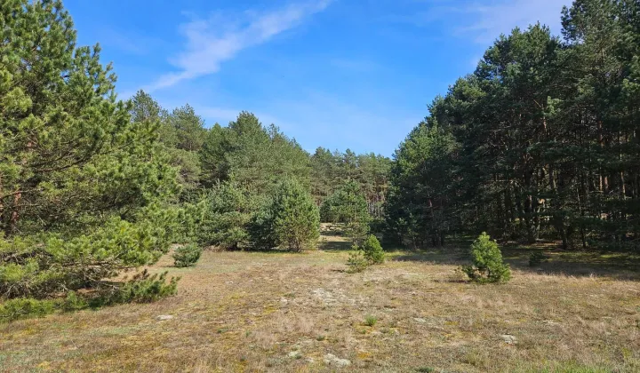 Działka rolna Swornegacie