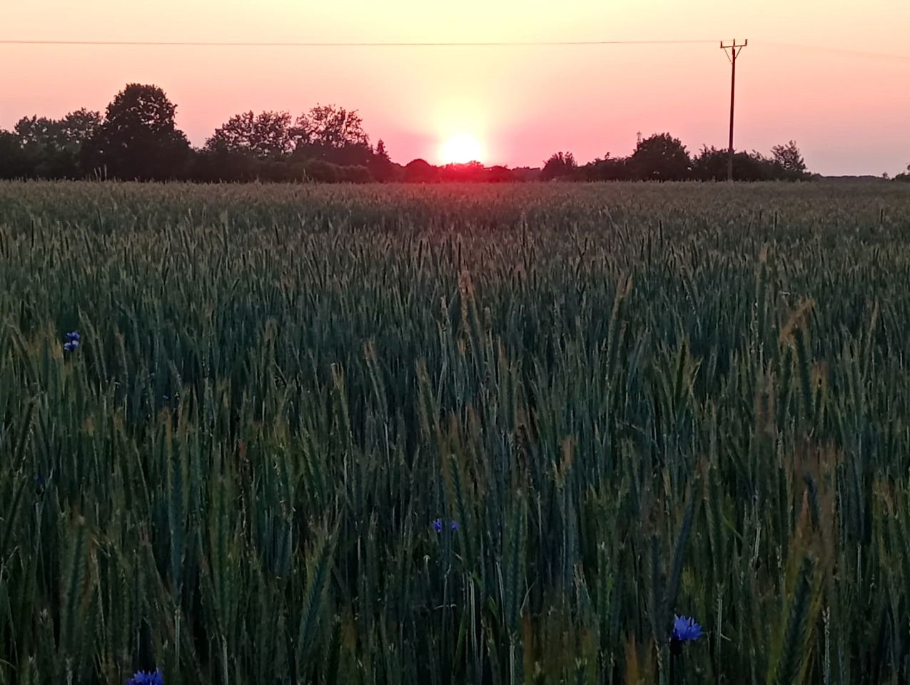 dom wolnostojący, 8 pokoi Radostów Średni, Radostów Średni. Zdjęcie 38
