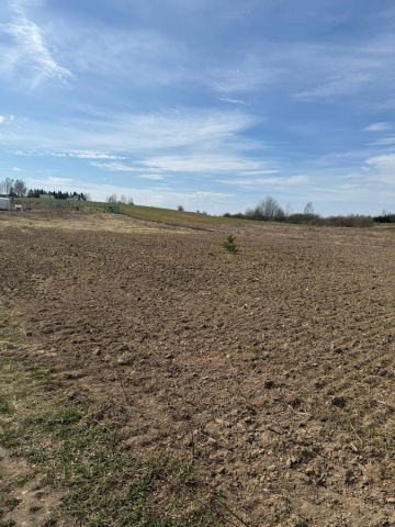 Działka rolno-budowlana Królikowo. Zdjęcie 1