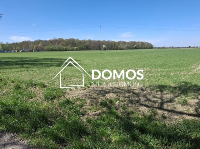 Działka budowlana Ćwiklice, ul. Spokojna. Zdjęcie 4