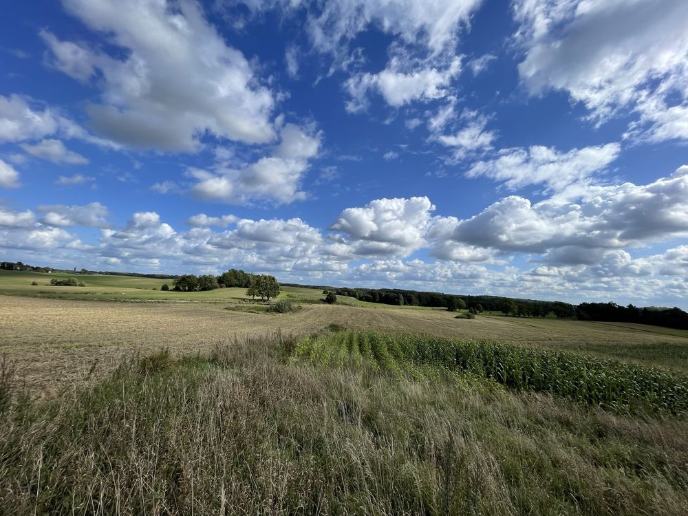 Działka rolna Kajnity