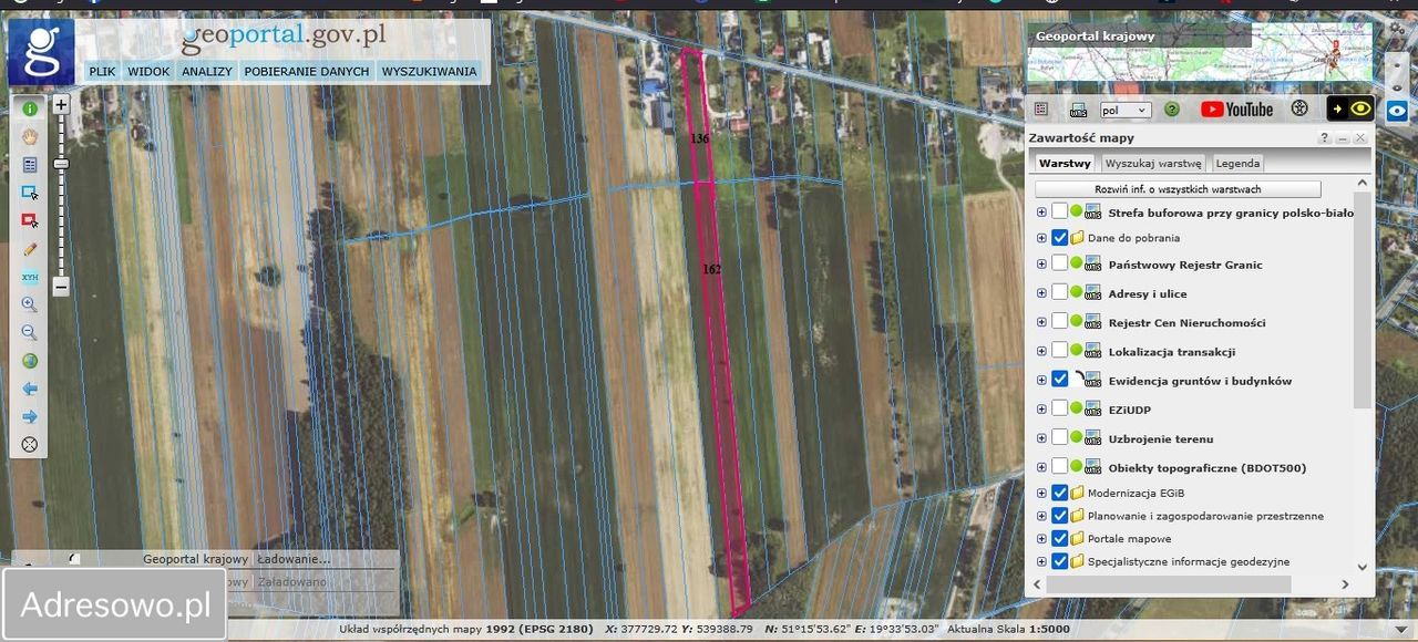 Działka rolno-budowlana Wola Niechcicka Stara. Zdjęcie 3