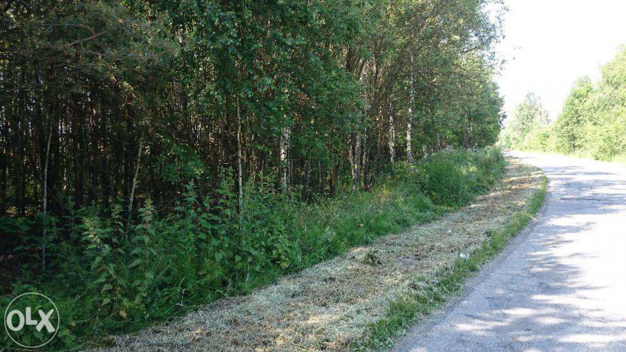 Działka budowlana Janowica. Zdjęcie 2