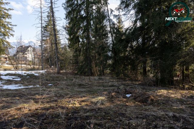 Działka inwestycyjna Kościelisko, ul. Nędzy Kubińca. Zdjęcie 5