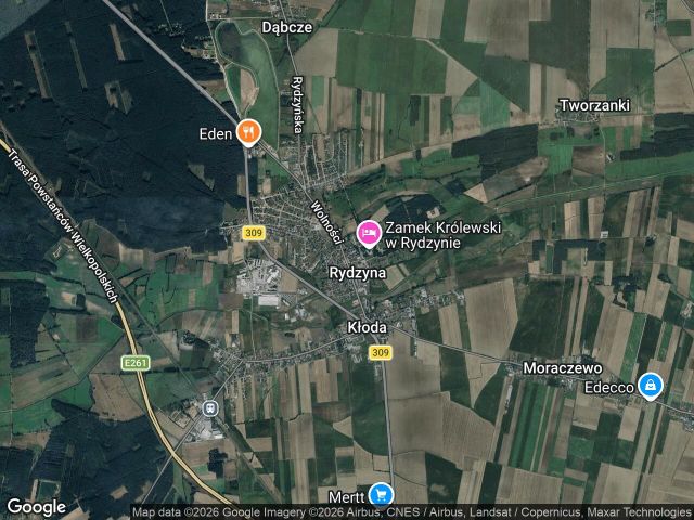 bliźniak Rydzyna. Zdjęcie 1