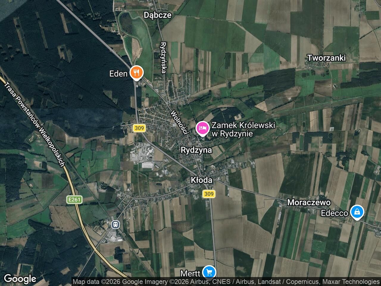 bliźniak Rydzyna. Zdjęcie 1