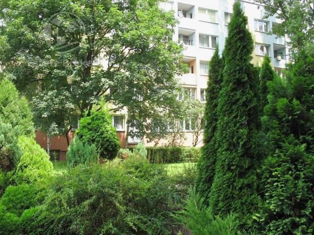 Mieszkanie 3-pokojowe Wrocław Krzyki, ul. Komandorska. Zdjęcie 8