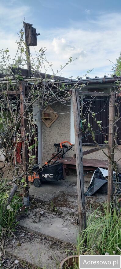 Działka rod Lewin Brzeski. Zdjęcie 2