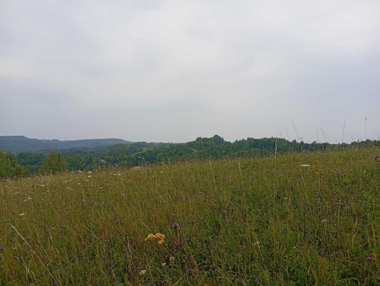 Działka rolna Domaradz. Zdjęcie 2