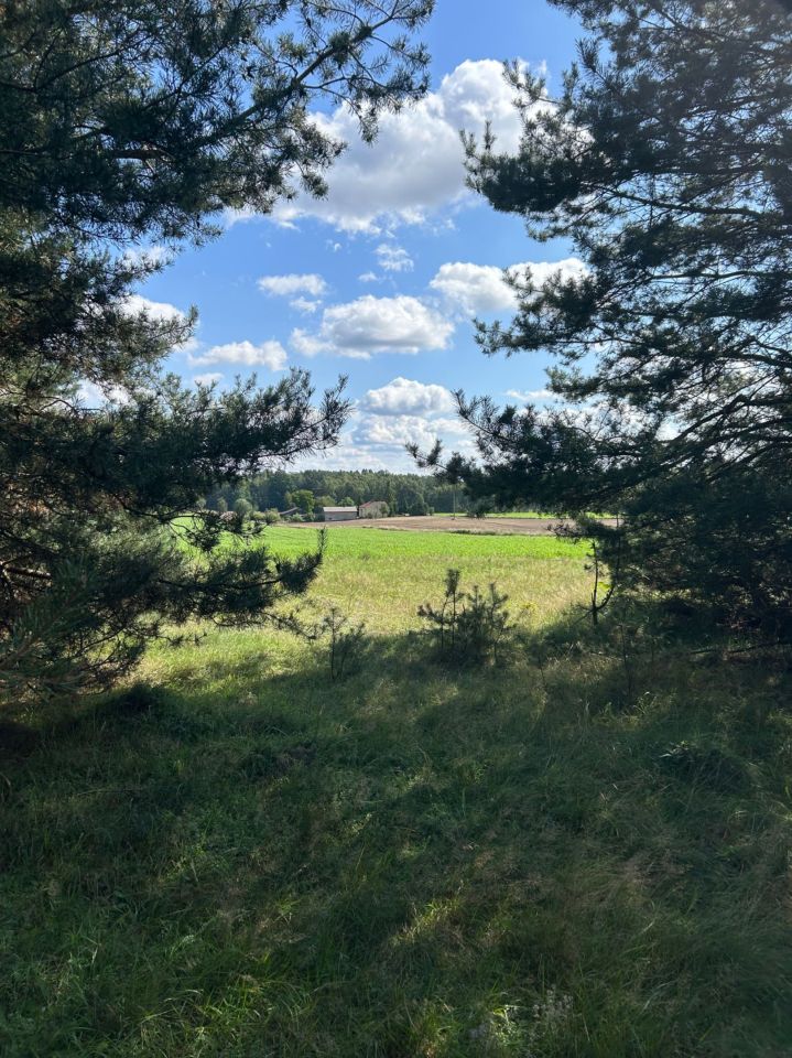 Działka rolna Nowe Wągry. Zdjęcie 1