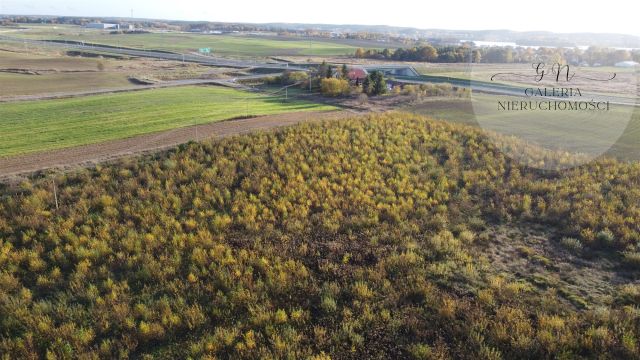 Działka Tomaszkowo. Zdjęcie 2