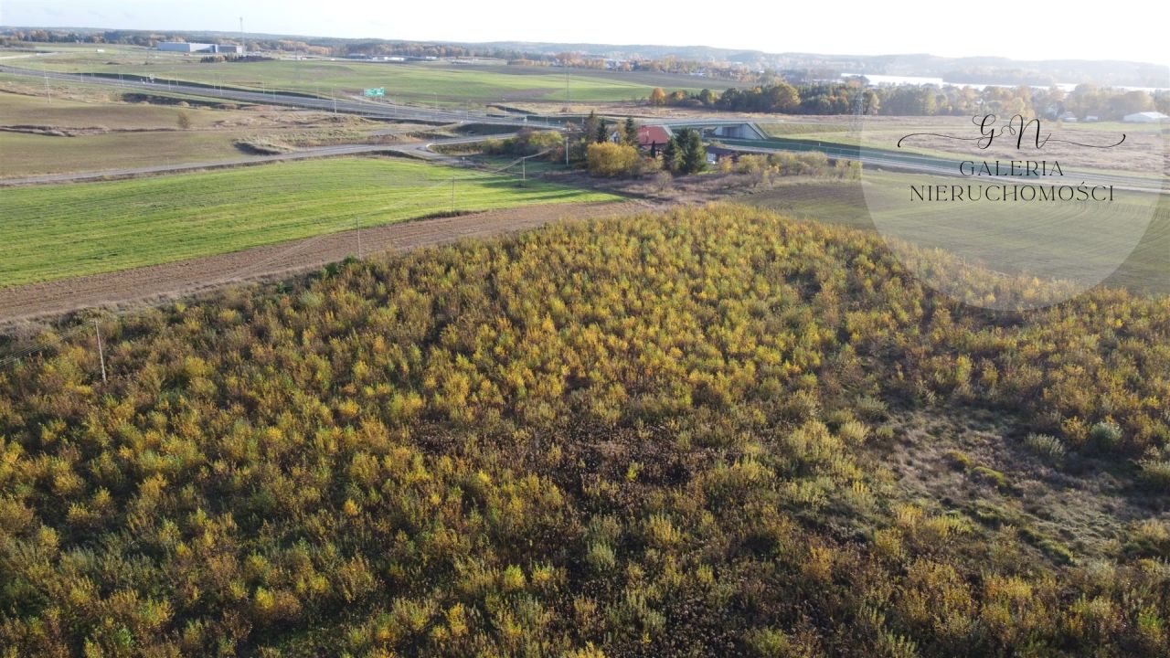 Działka Tomaszkowo. Zdjęcie 2