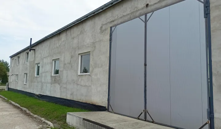 Hala/magazyn Borne Sulinowo, ul. Towarowa