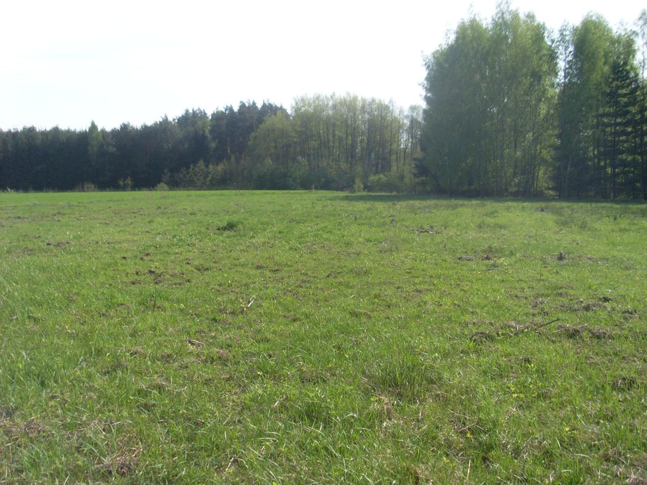 Działka budowlana Gurba, ul. Główna. Zdjęcie 3