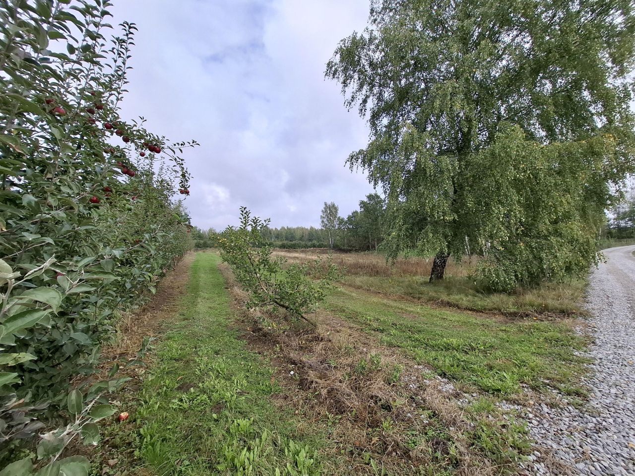 Działka budowlana Wola Grabska. Zdjęcie 6