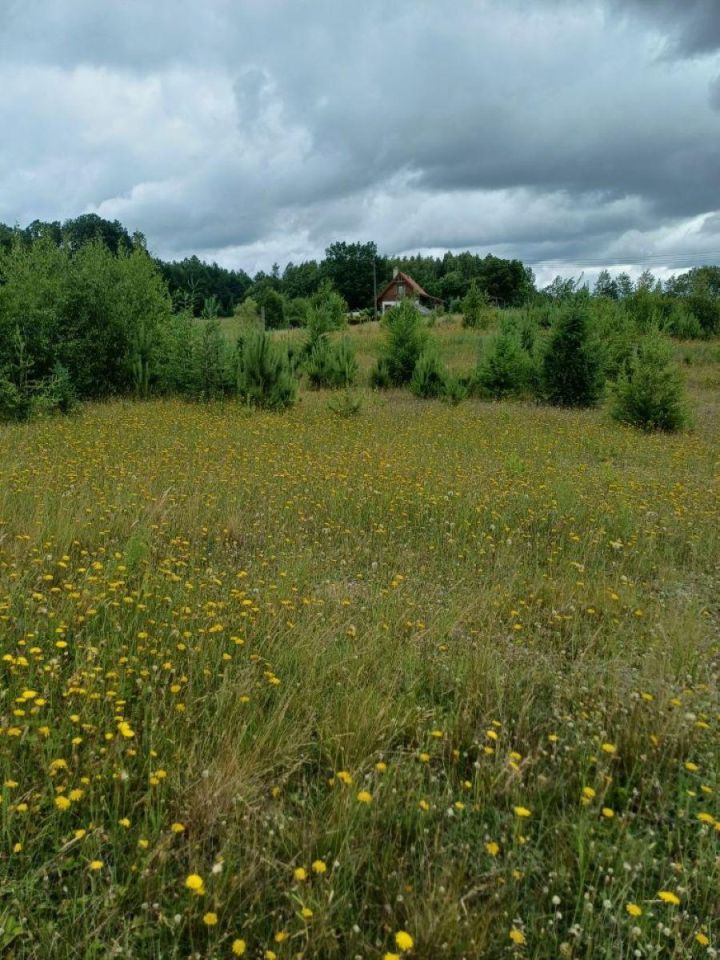 Działka budowlana Nowa Wieś Przywidzka, ul. Zielona. Zdjęcie 10