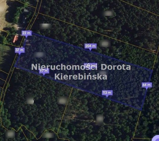 Działka leśna Kozłowiec. Zdjęcie 2