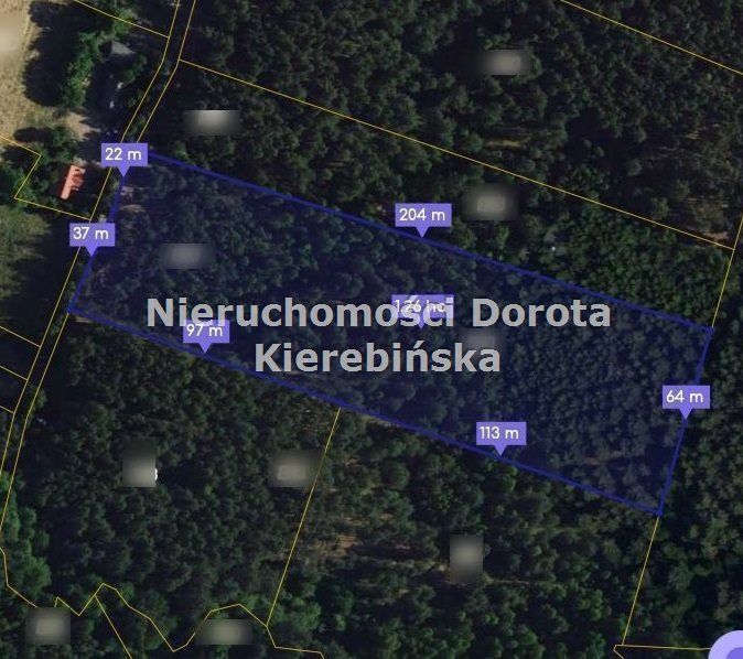 Działka leśna Kozłowiec. Zdjęcie 2