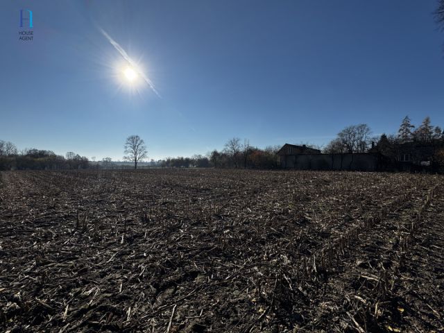 Działka siedliskowa Kolonia Łaznów. Zdjęcie 2