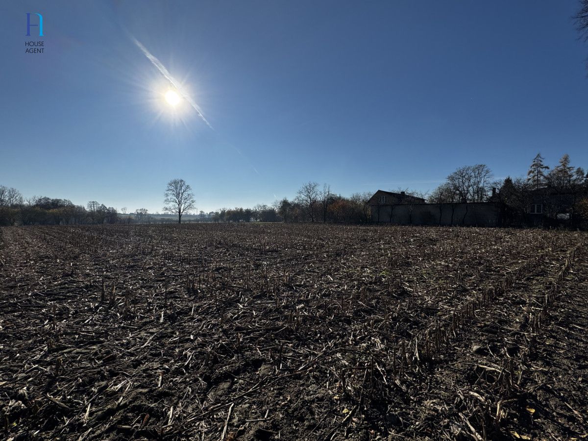Działka siedliskowa Kolonia Łaznów. Zdjęcie 2