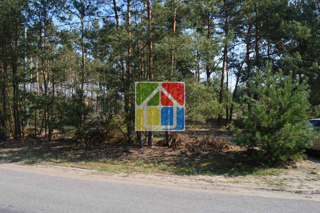 Działka leśna Kiełpieniec Mniszek. Zdjęcie 6